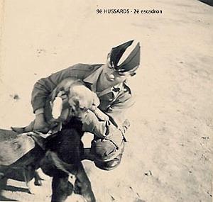 ANIMAUX -1